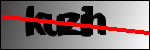 النص للتعريف
